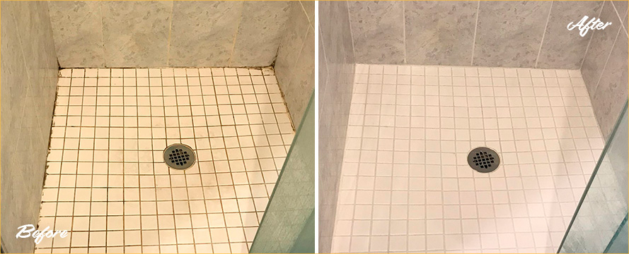 Shower Restored by Our Professional Tile and Grout Cleaners in Stamford, CT