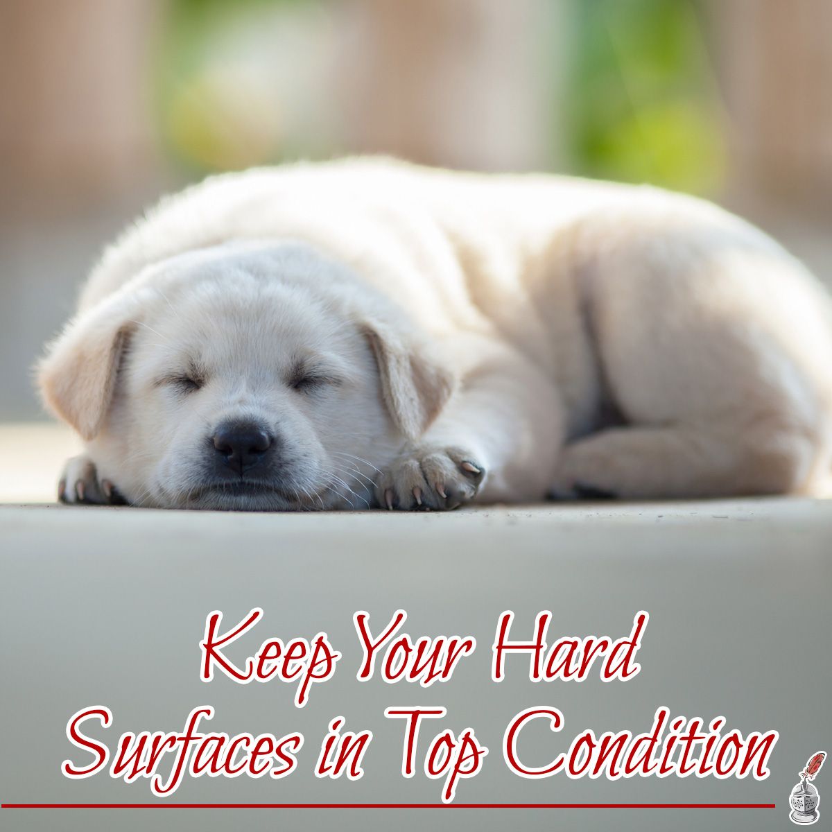 Keep Your Hard Surfaces in Top Condition