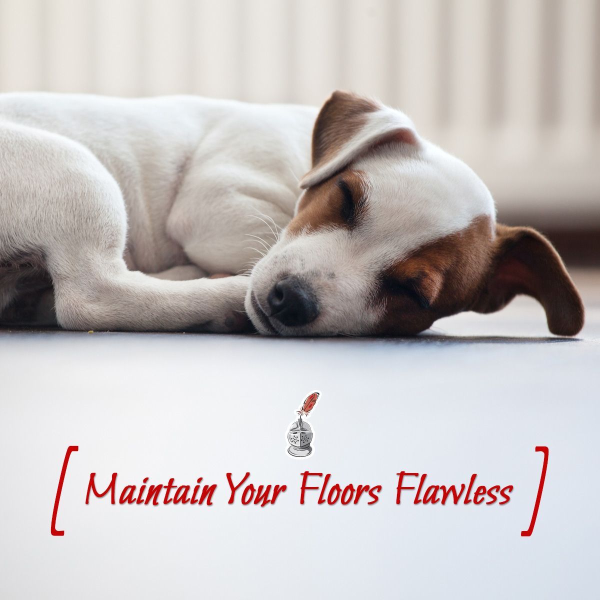 Maintain Your Floors Flawless
